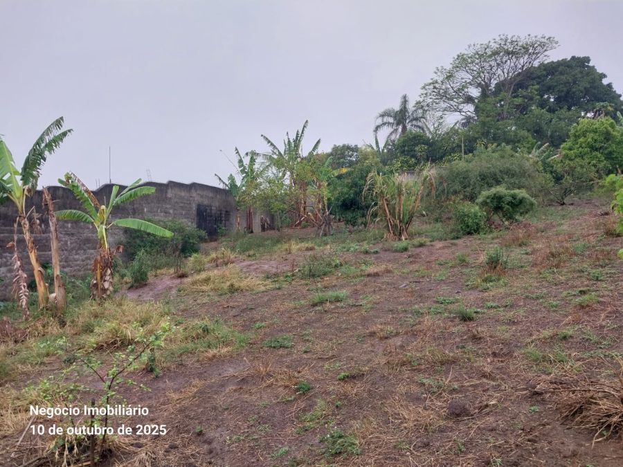 Terreno - Venda - Rio Abaixo - Suzano - SP