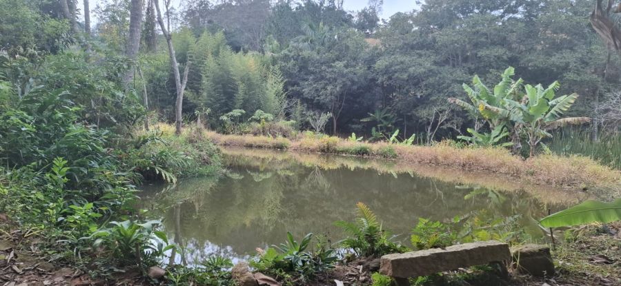Stio - Venda - Pomar do Carmo - Biritiba Mirim - SP